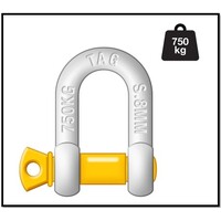 TAG DROP FORGED CARBON STEEL D-SHACKLE - LOAD RATE 750KG 8MM