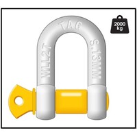 TAG DROP FORGED CARBON STEEL D-SHACKLE - LOAD RATE 2000KG 13MM